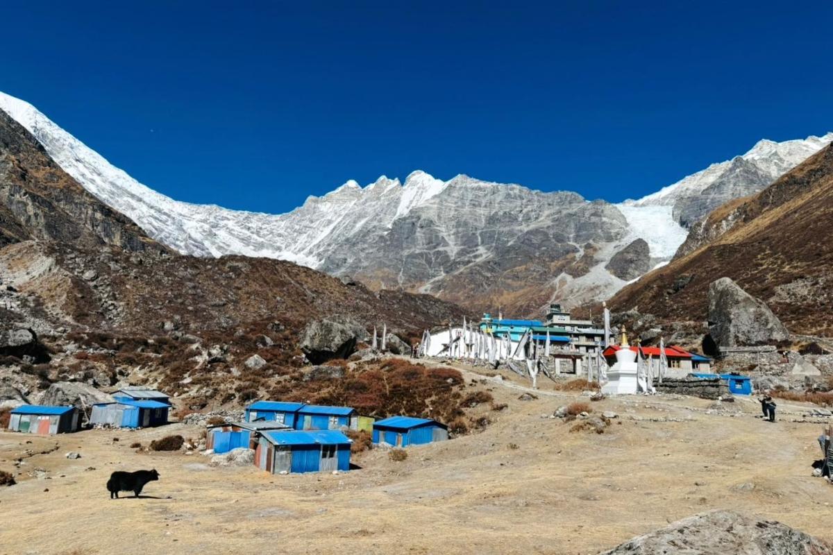 ランタン渓谷トレッキング