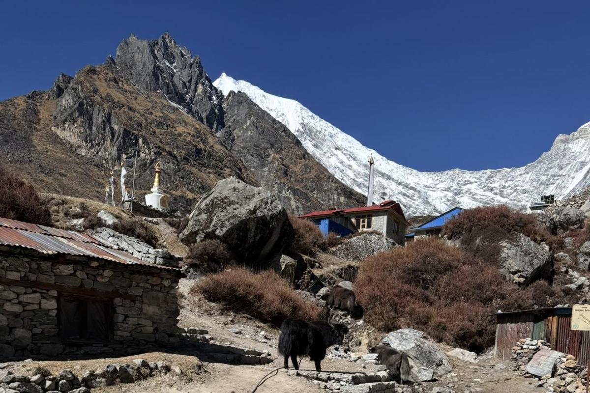 ランタン渓谷トレッキング