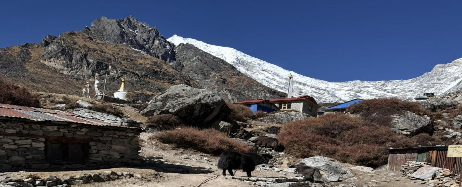 ランタン渓谷トレッキング