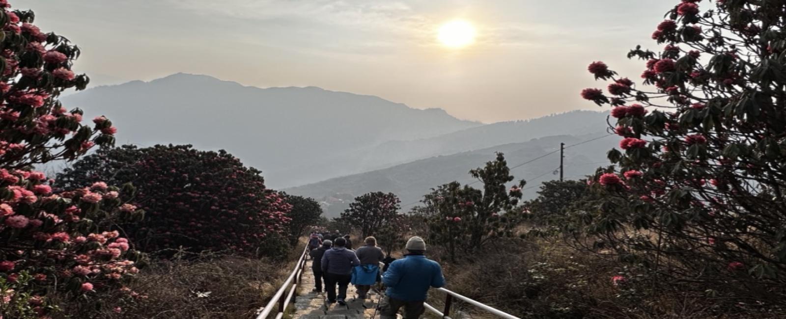 ゴレパニ プーンヒル トレッキング