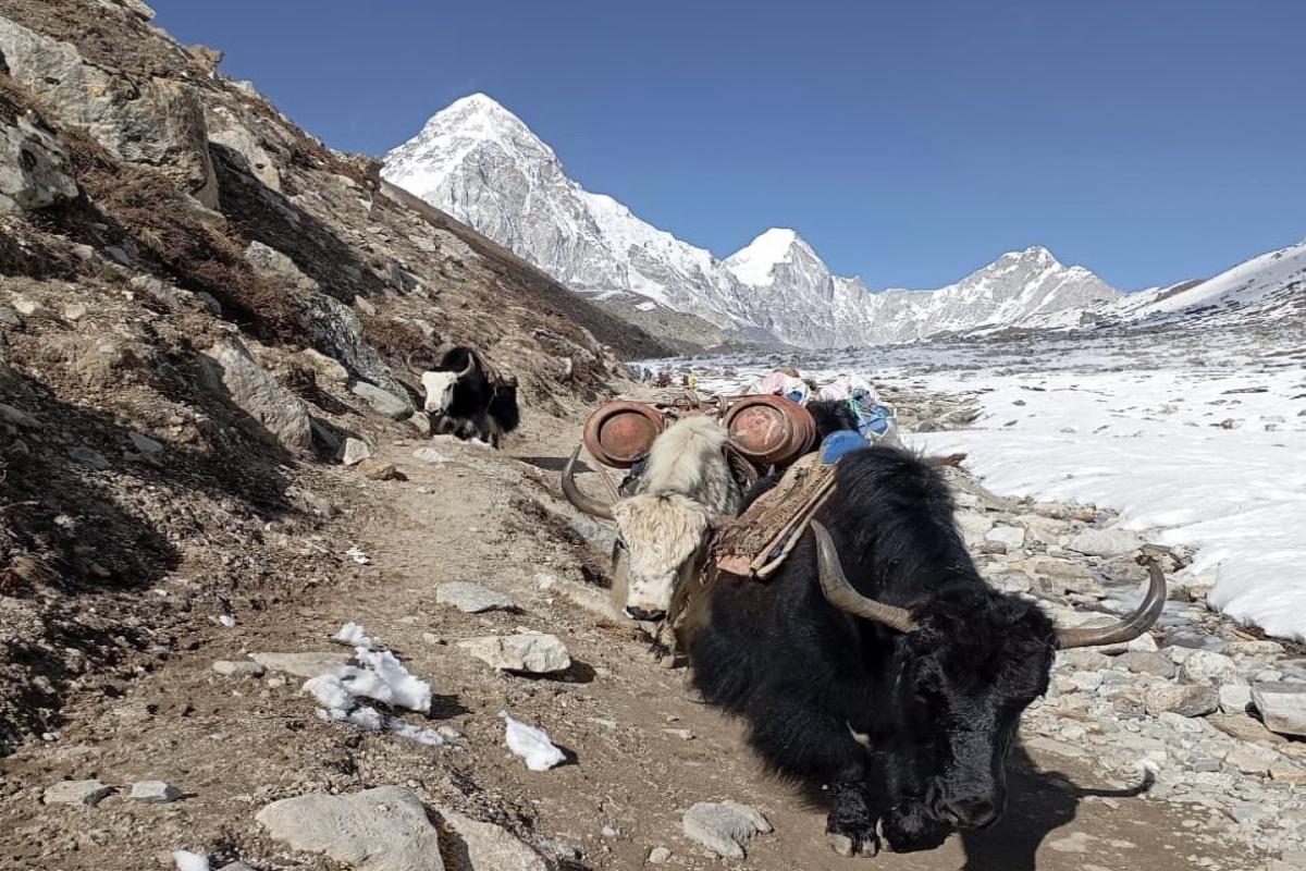 エベレストベースキャンプトレッキング １２日間