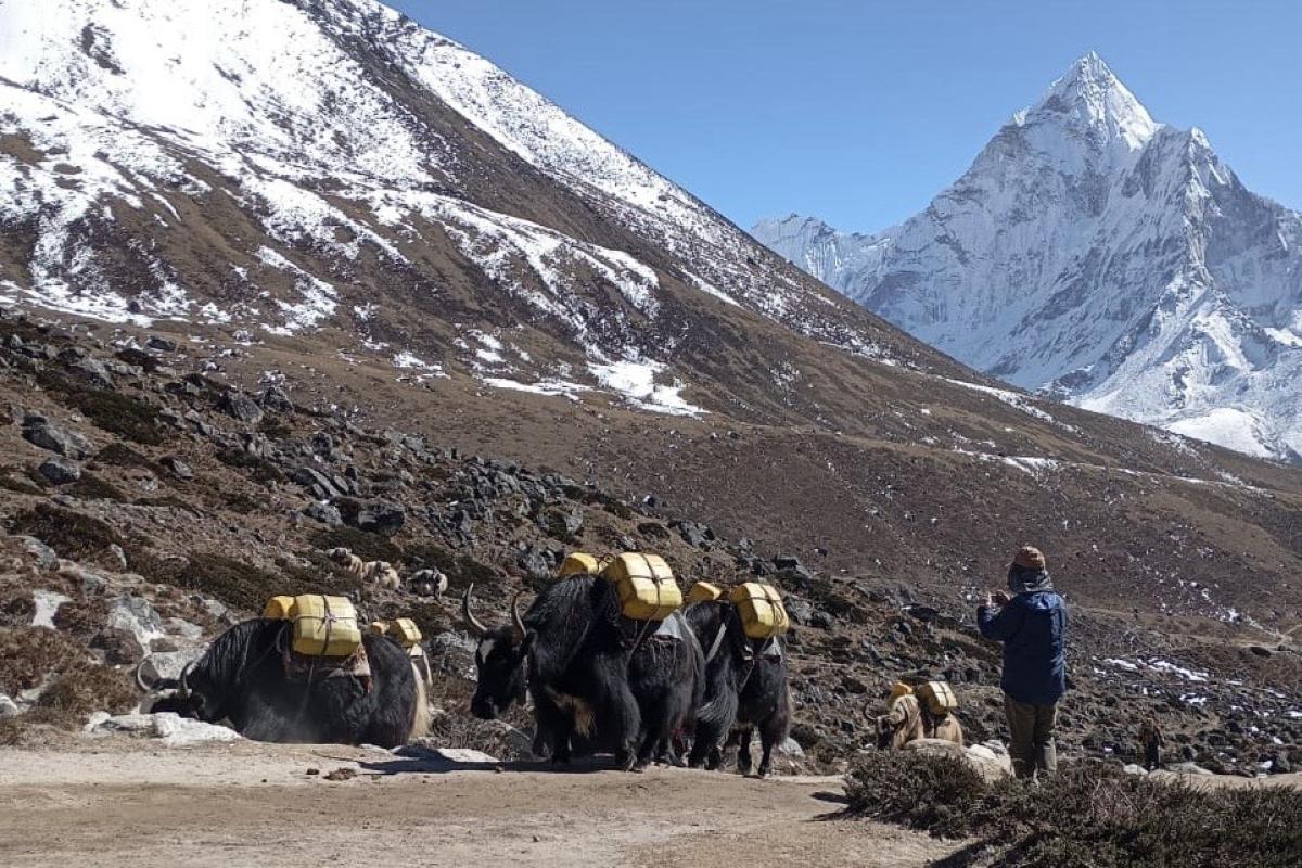 エベレストベースキャンプトレッキング １２日間