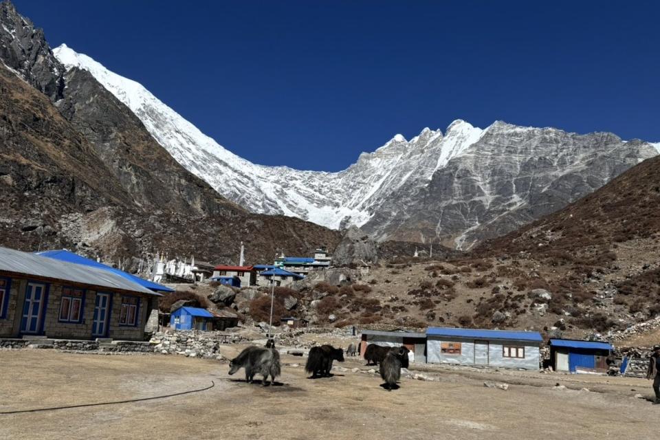 ランタン渓谷トレッキング8日間