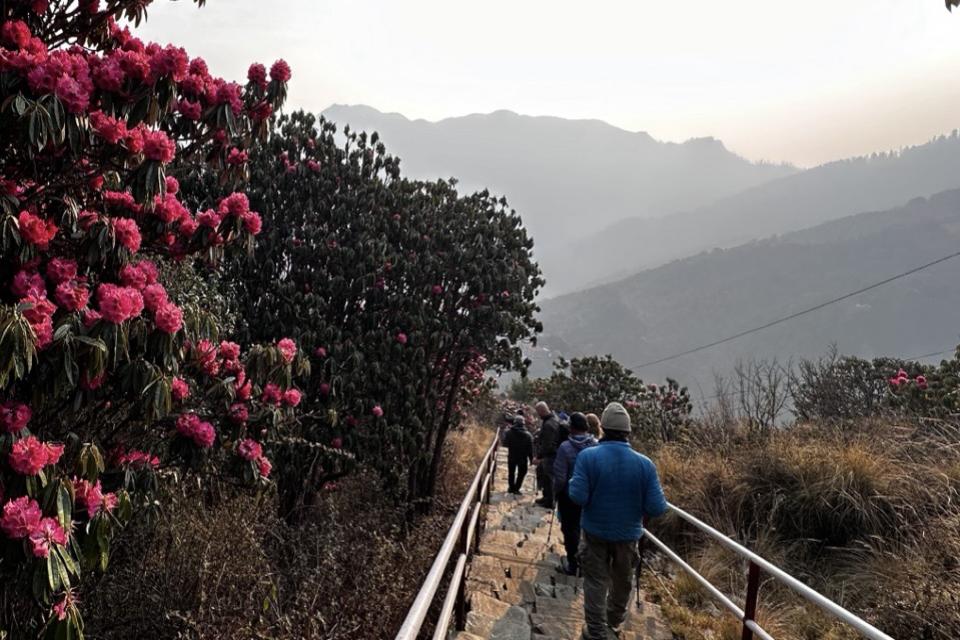 ゴレパニ プーンヒル トレッキング